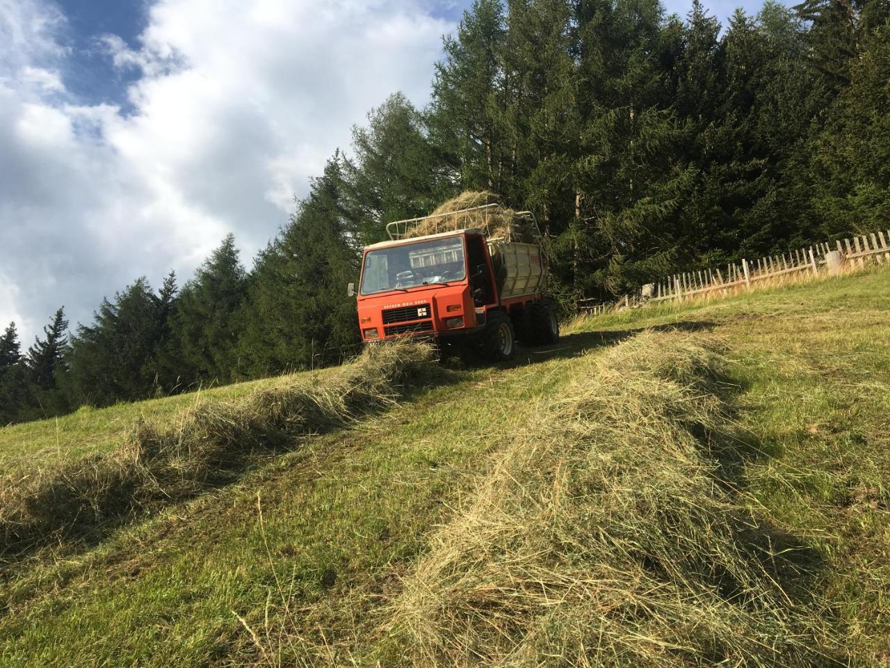 Ferienwohnung Landhof Adlerhorst Heiligenblut am Großglockner Exterior foto